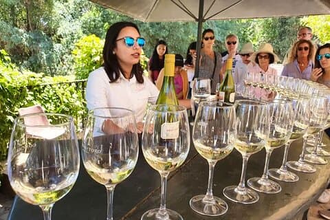 Private San Antonio, Visit Concha y Toro Winery & Transfer hotel
