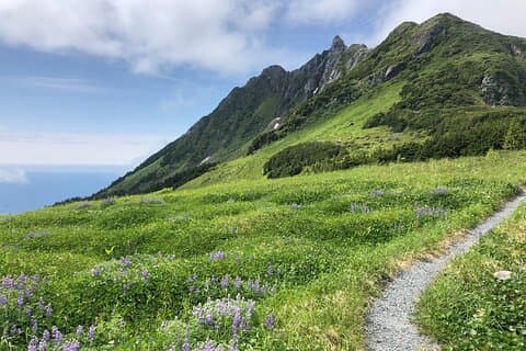 Guided Hike in Sitka, Alaska