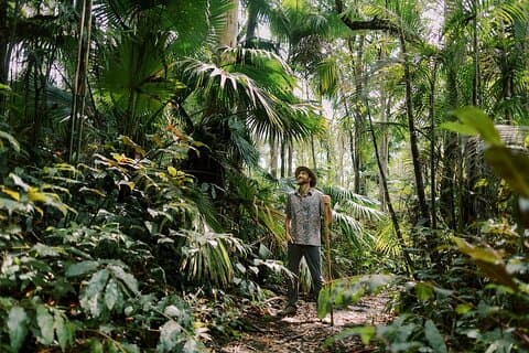Kona Cloud Forest Sanctuary Montane Jungle Tour (2.5 hrs)