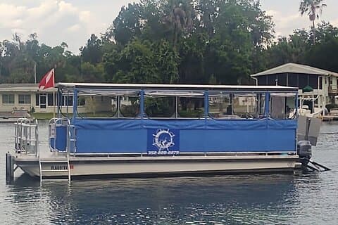 See Crystal River - Mantee & Wildlife Viewing Cruise