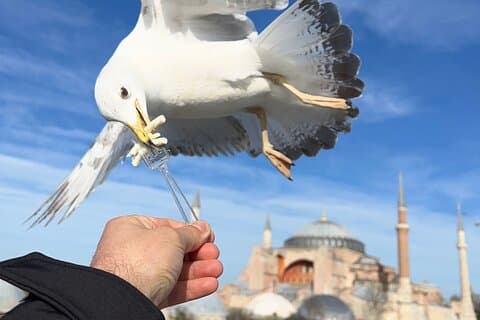 ISTANBUL BEST: Iconic Landmarks Full Day PRIVATE Guided City Tour