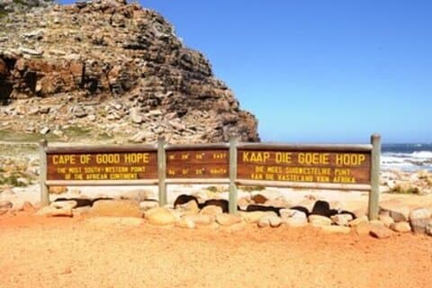 Hermanus Whale Watching and Wine Experience from Cape Town