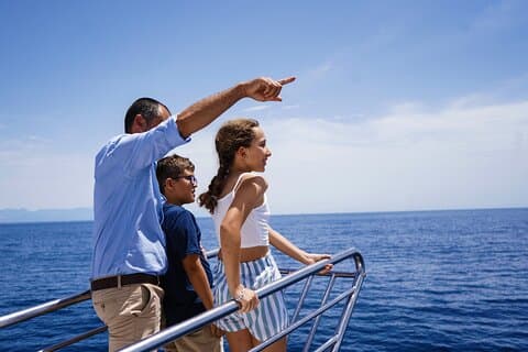 Dolphin Sightseeing Boat Tour from Benalmadena
