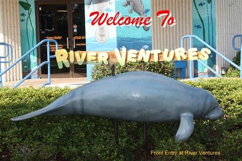 Crystal River Manatee Viewing & Sightseeing Boat Tour