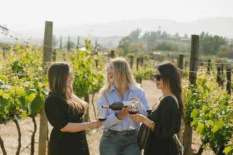 Private Wine Tour by Ansell Tours