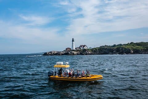 Guided RIB Boat Adventure of Portland