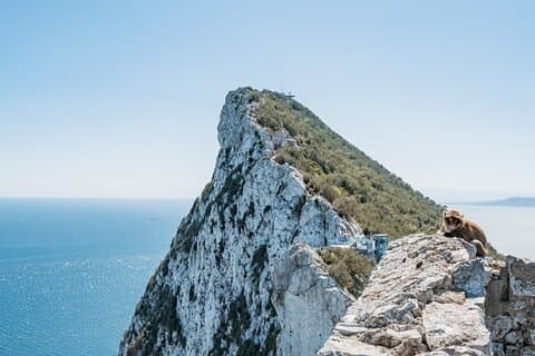 From Malaga, Gibraltar excursion with transport