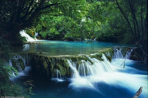 From Hue City: Private Hiking Day Trip at Bach Ma National Park