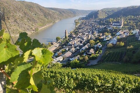 Private day trip to the Romantic Rhine Valley with river cruise and wine tasting