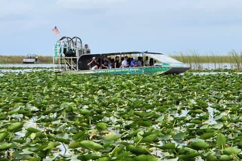Everglades Alligator Airboat Tour with Bus transfer from Miami