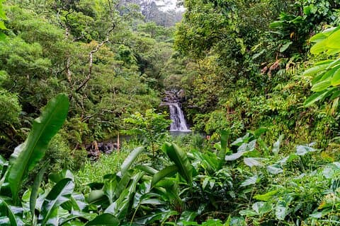 VIP Private Full-Day Road to Hana Tour