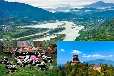 Dujiangyan irrigation+Mt. Qingcheng or Panda Park Day Tour