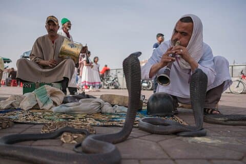 Marrakech day tour Immersion in Craft and Culture in VIP Van