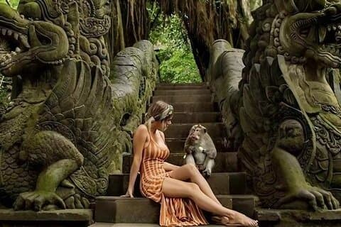Private Ubud Tour: Monkey Forest, Waterfall & Rice Terrace