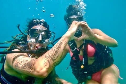 Beginner Scuba Diving with Turtles + Free Videos West Palm beach
