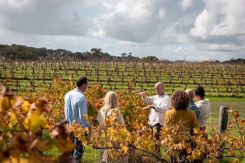Hidden Gems of Margaret River: Wine, Italian Lunch & Emu Feeding