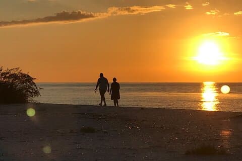 Sunset Eco Tour of Marco Island & 10,000 Islands