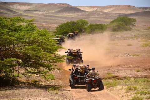 Sal Island: 4H Buggy Adventure Coast-to-Coast - 1000cc