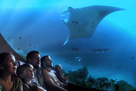 Ocean Wonders: Catalina Island's Immersive Movie Experience