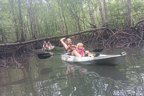 Half-day 4 Hours Kilim Mangrove Kayaking (Without hotel pickups)