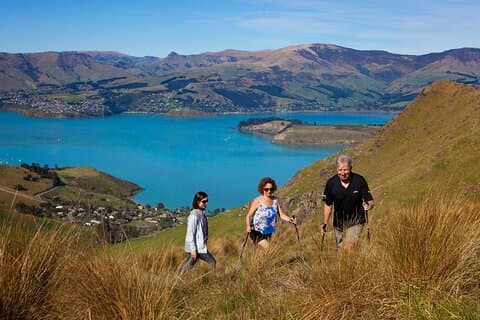 Private Guided Full-Day Godley Head Coastal Hike with Picnic