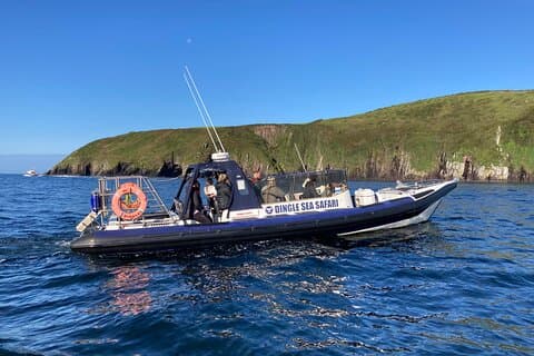 Private family sea safari