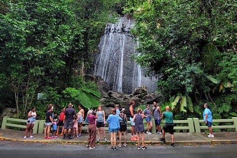 Puerto Rico: El Yunque Sightseeing Half-Day Tour w/Transfer