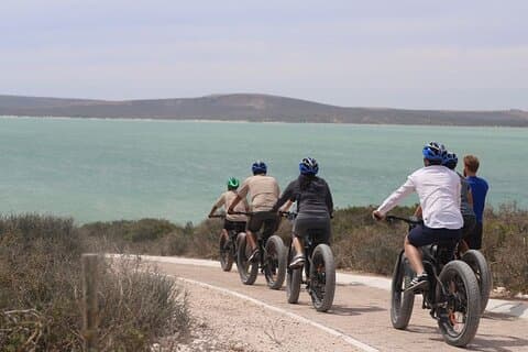 E-Bike Safari West Coast Full Day Tour in Cape Town