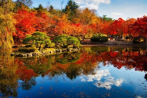 Private Tour Gyeongju Highlights Full-Day from Busan