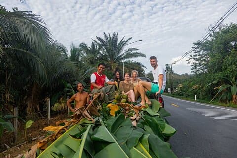 Khao Lak Elephant Observation, Thai Cooking Class & Waterfall