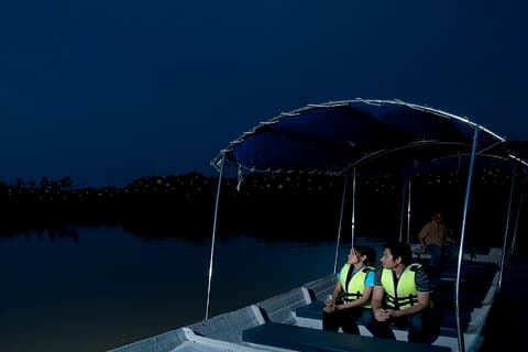 Kuala Selangor Firefly Blinkings Private Tour with Seafood Dinner