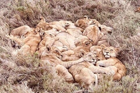 Chobe National Park from Victoria Falls