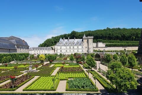 Loire Valley from Tours : Azay-le-Rideau, Villandry, 2 Wineries