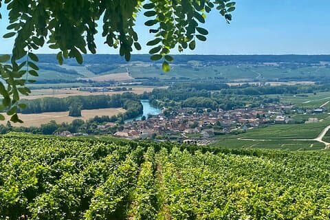 Moet et Chandon Veuve Clicquot Private Champagne trip from Paris