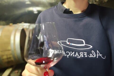 Small Group Marseille Shore Excursion : Avignon & Chateauneuf du Pape Wine Tour