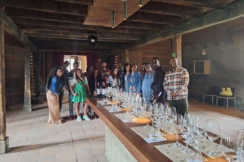 Full Day Private Colchagua Wine Tour from Santiago