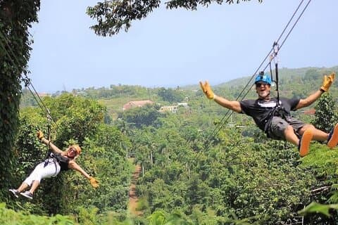 Rainforest Zipline in Foothills of the National Rainforest