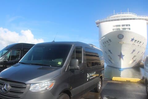 Private Shore Excursion Hilo Volcanoes National Park up to 10 PPL
