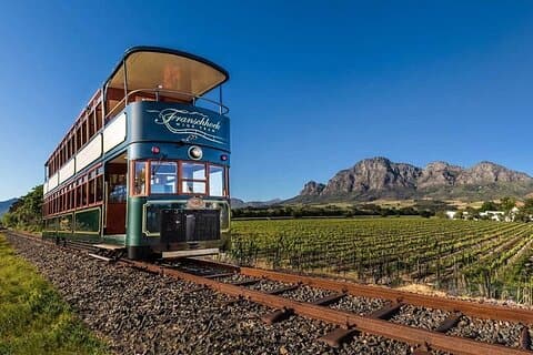 Cape Wine Experience Full-Day Tour!
