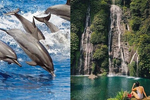 Bali Swim with Dolphins & Watching Sunrise, Gitgit Waterfall