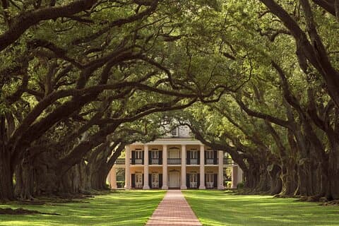 Full Day Plantation and Swamp Tour in New Orleans