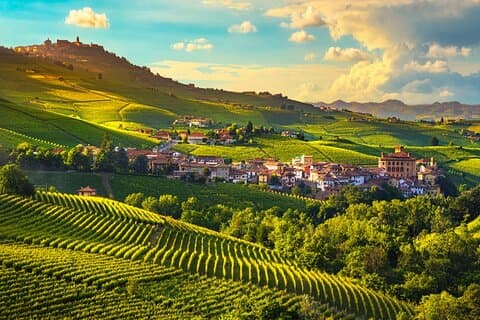 Small-Group Barolo Wine Tasting, Alba & UNESCO Piedmont Hills