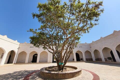 UNESCO World Heritage Sites The Frankincense Trail