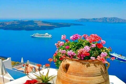 5 Hour Skip Tram Lines Cruise-Friendly Tour & Wine Experience