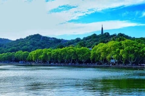 By round way bullet train from Shanghai to hangzhou day tour