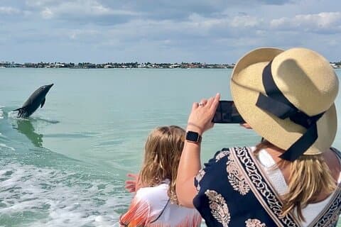 Wild Dolphin Tour