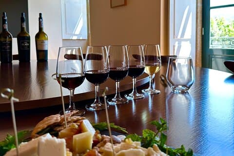 Private Douro Valley Winery Tour and River Cruise