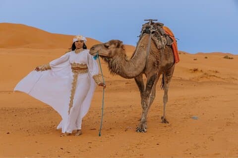 Overnight desert camp experience : camel ride & Sandboarding