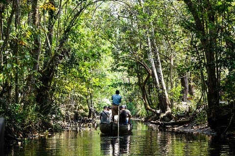 Half Day Village Houseboat Tour (from Cruise terminal in Kochi)