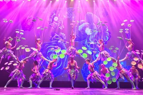 Beijing Evening Tour: Chaoyang Theatre Acrobatic Show (Transfer)